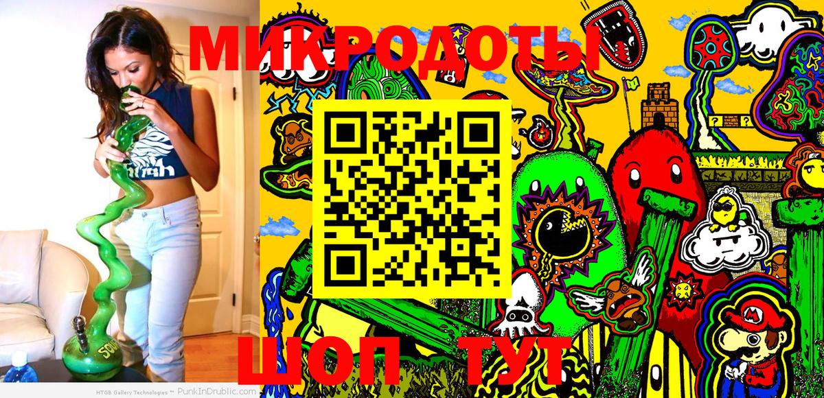 Псилоцибиновые грибы Psilocybine cubensis Железногорск